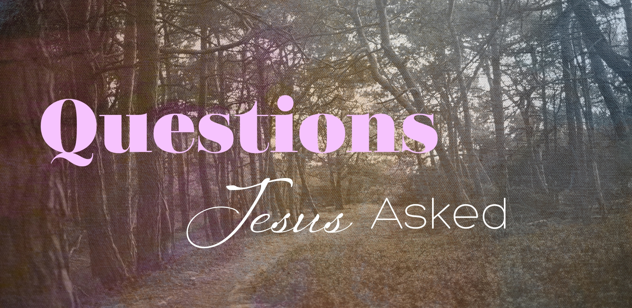 Jesus asked over 300 questions in the gospels. He knew the power and promise of a good question. Lean into the questions Jesus asked, and explore some of the hardest questions you asked.